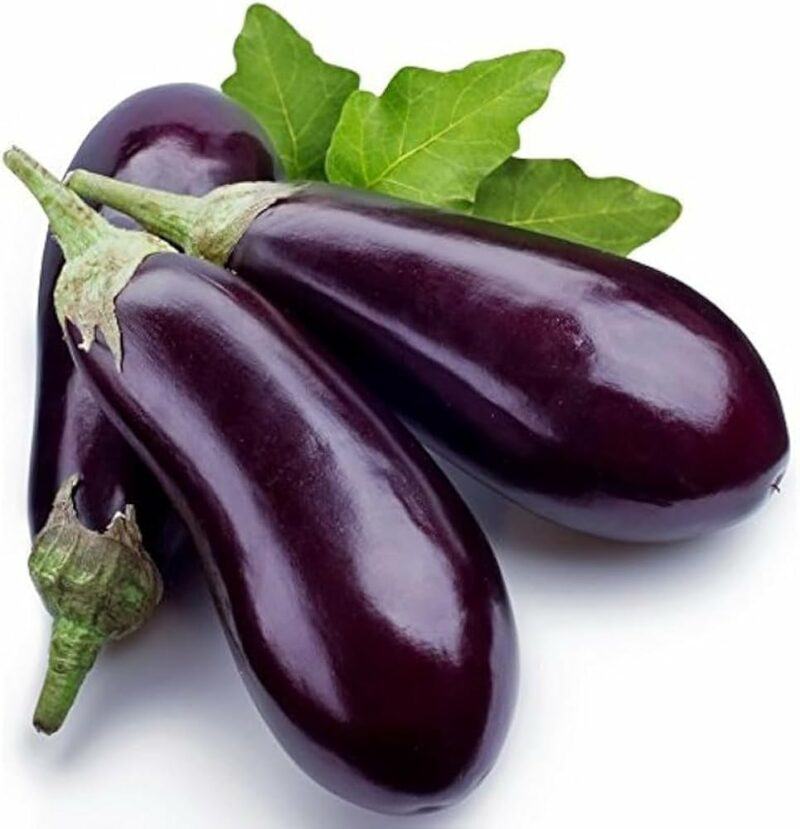 Brinjal
