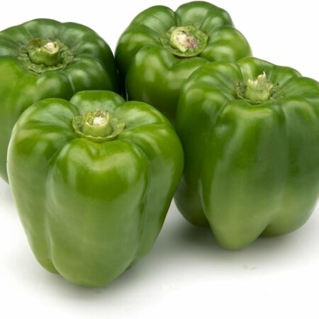 Capsicum