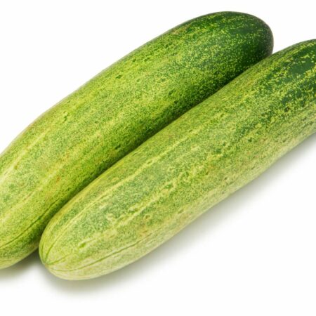 Cucumber