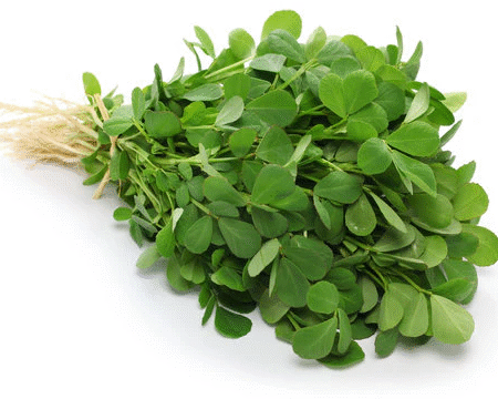 Methi (Fenugreek)