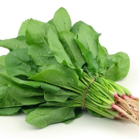 Spinach (Palak)