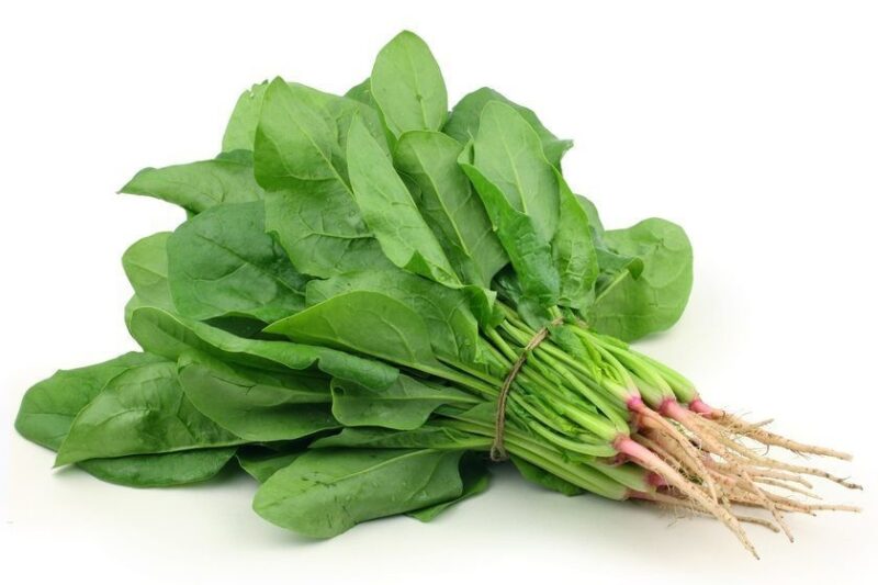 Spinach (Palak)
