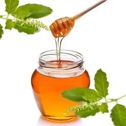 Sulai (Van Tulsi)