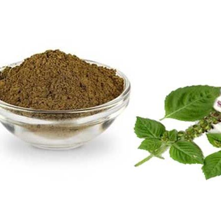 Tulsi Powder