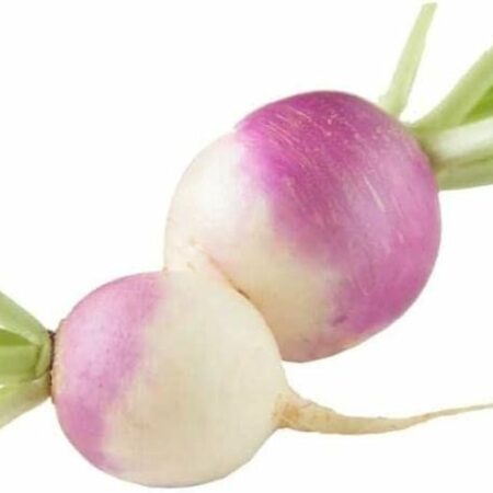 Turnip (Shalgam)
