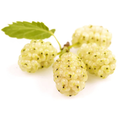 Mulberry (Autralian White) 200g