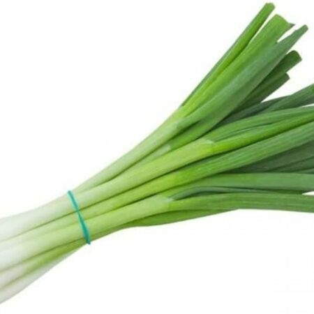 Leek
